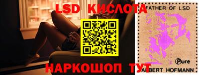 дмт Будённовск