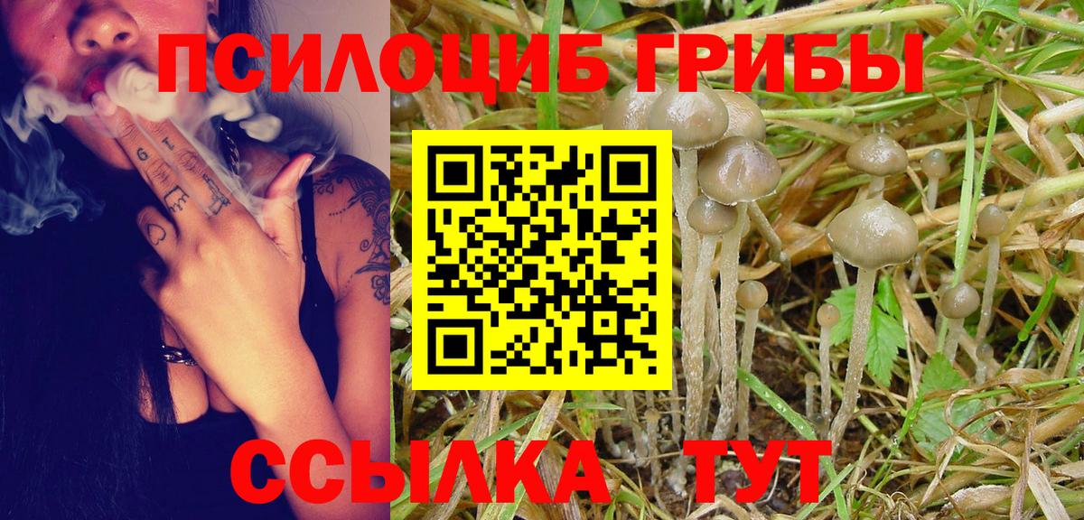 Псилоцибиновые грибы GOLDEN TEACHER  Вход с VPN  Кудрово 